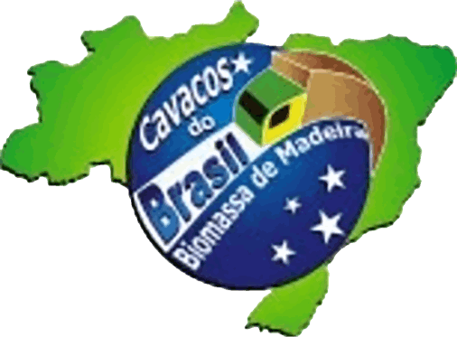 Cavacos do Brasil, Cavacos, Escoras, Eucalipto, www.cavacosbrasil.com.br, cavaco, eucaliptos, recurso renovável, Cavaco de madeira, Cavaco de eucalipto, Cavaco de pinos, Lascas de madeira, biomassa, biomassa de madeira