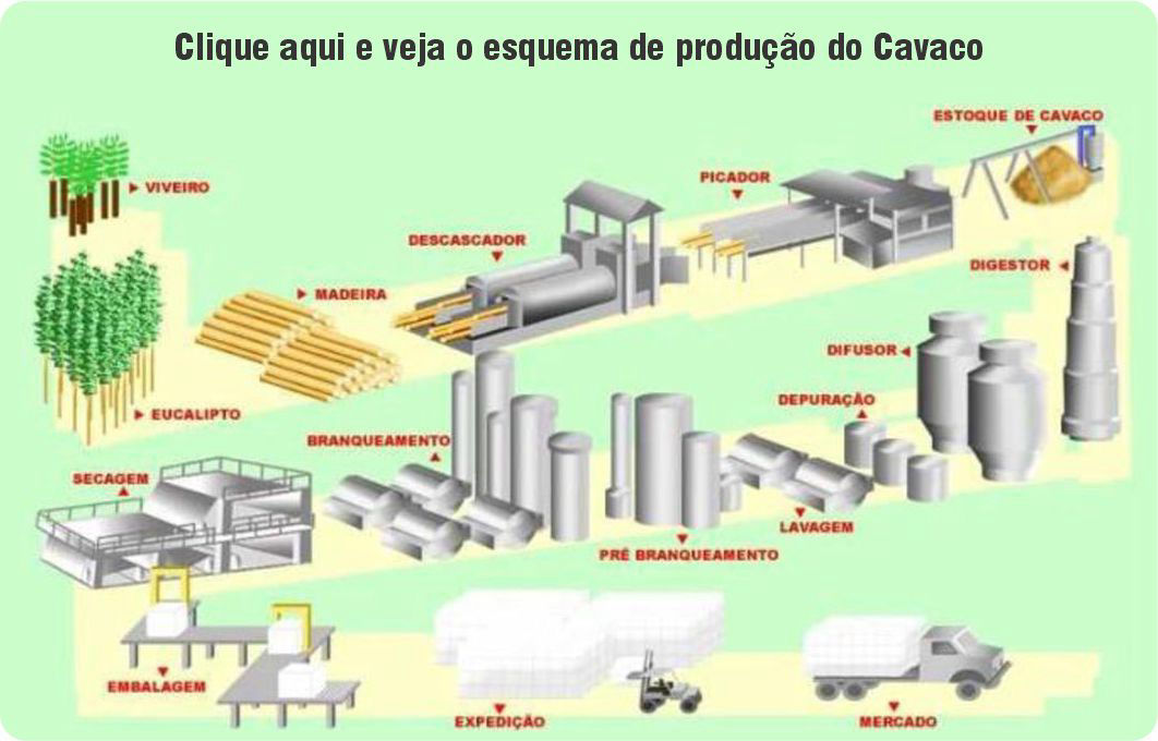 Esquema de Produção do Cavaco - Cavacos do Brasil, Cavacos, Escoras, Eucalipto, www.cavacosbrasil.com.br