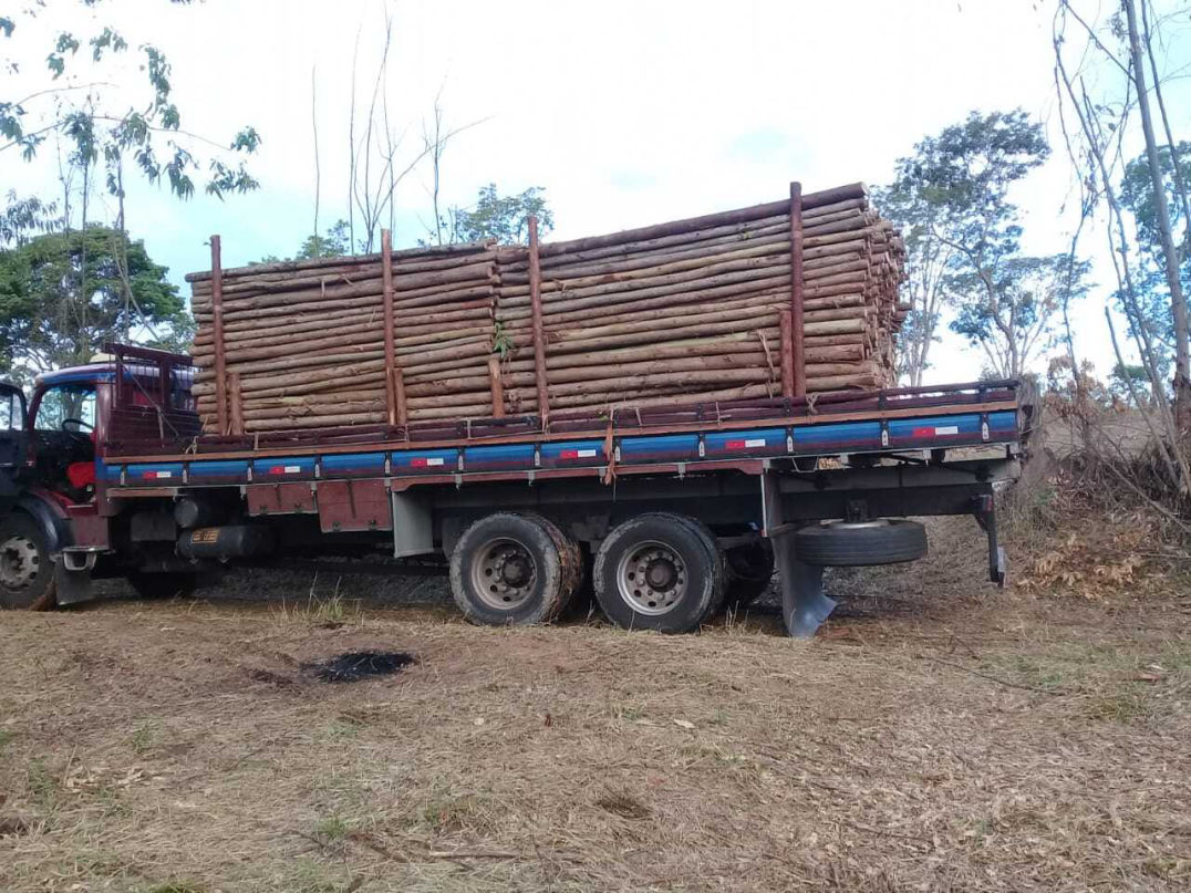Cavacos do Brasil, Cavacos, Escoras, Eucalipto, www.cavacosbrasil.com.br, cavaco, eucaliptos, recurso renovável, Cavaco de madeira, Cavaco de eucalipto, Cavaco de pinos, Lascas de madeira, biomassa, biomassa de madeira