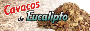 Cavacos do Brasil, Cavacos, Escoras, Eucalipto, www.cavacosbrasil.com.br, cavaco, eucaliptos, recurso renovável, Cavaco de madeira, Cavaco de eucalipto, Cavaco de pinos, Lascas de madeira, biomassa, biomassa de madeira