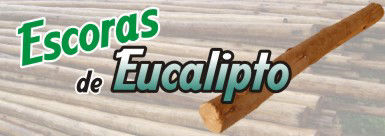 Cavacos do Brasil, Cavacos, Escoras, Eucalipto, www.cavacosbrasil.com.br, cavaco, eucaliptos, recurso renovável, Cavaco de madeira, Cavaco de eucalipto, Cavaco de pinos, Lascas de madeira, biomassa, biomassa de madeira